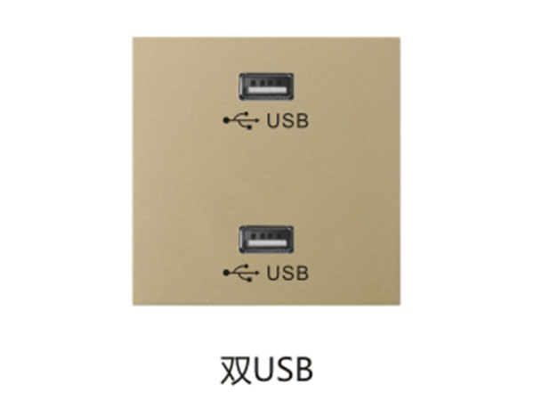 双USB