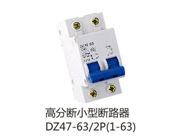 DZ47-63-2P(1-63)