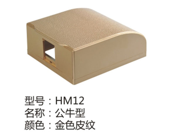 HM12金色皮纹
