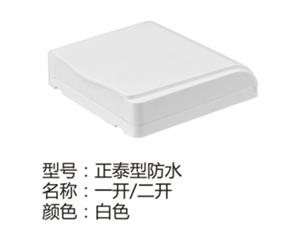 正泰型防水一开二开