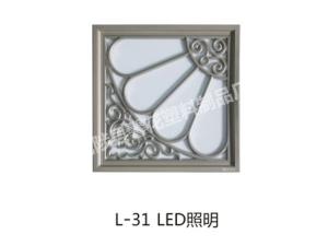 L-31LED照明