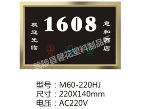M60-220HJ