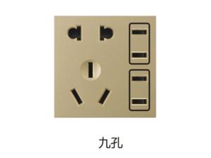 九孔