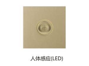 人体感应(LED)