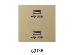 双USB