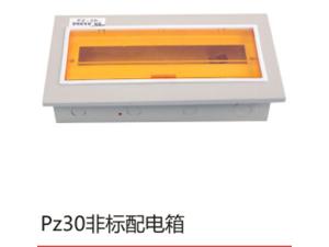 Pz30非标配电箱