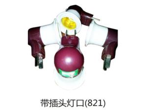 带插头灯口(821)