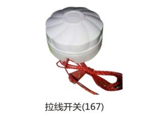 拉线开关(167)