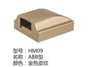 HM09金色皮纹