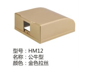 HM12金色拉丝