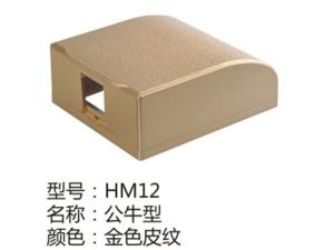 HM12金色皮纹