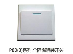 P80(B)系列全阻燃明装开关