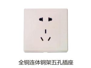 全铜连体钢架五孔插座