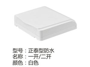 正泰型防水一开二开