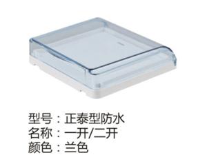 正泰型防水一开二开兰色
